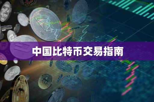 中国比特币交易指南 中国比特币交易指南