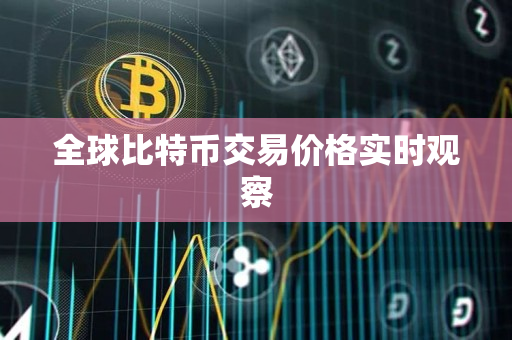 全球比特币交易价格实时观察 全球比特币交易价格实时观察