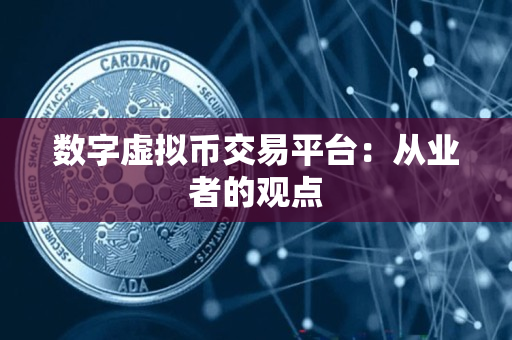 数字虚拟币交易平台:从业者的观点 数字虚拟币交易平台:从业者的观点