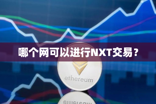 哪个网可以进行NXT交易? 哪个网可以进行NXT交易?
