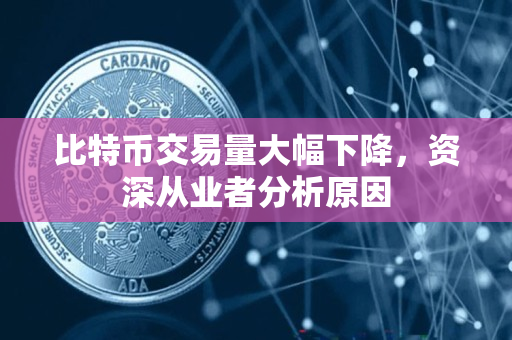 比特币交易量大幅下降,资深从业者分析原因 比特币交易量大幅下降,资深从业者分析原因