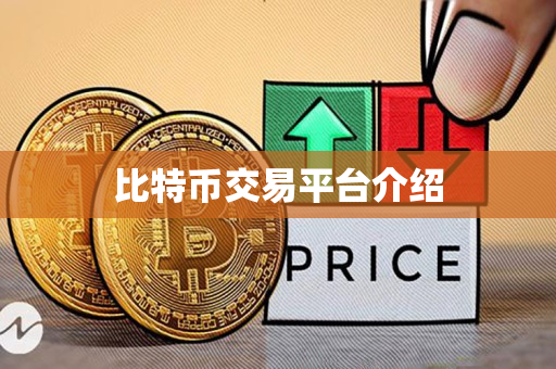 比特币交易平台介绍 比特币交易平台介绍