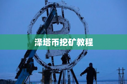 泽塔币挖矿教程