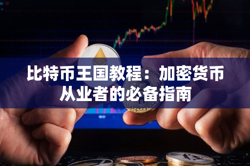 比特币王国教程:加密货币从业者的必备指南 比特币王国教程:加密货币从业者的必备指南