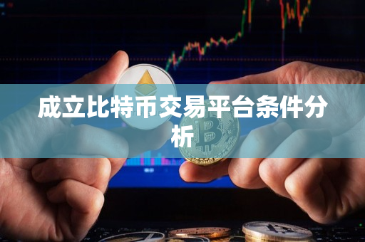 成立比特币交易平台条件分析