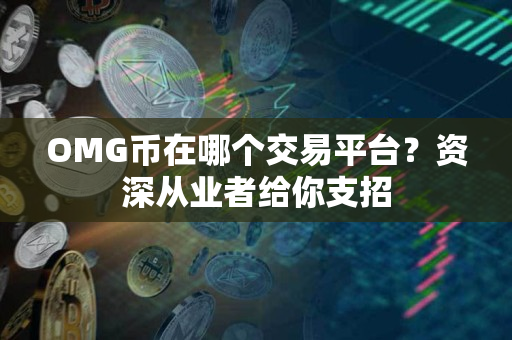 OMG币在哪个交易平台?资深从业者给你支招 OMG币在哪个交易平台?资深从业者给你支招