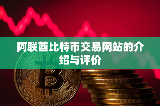 阿联酋比特币交易网站的介绍与评价