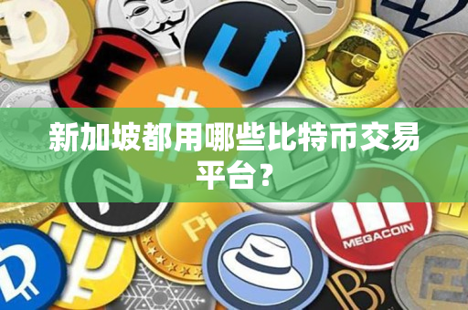 新加坡都用哪些比特币交易平台? 新加坡都用哪些比特币交易平台?