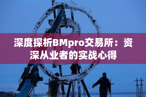 深度探析BMpro交易所：资深从业者的实战心得