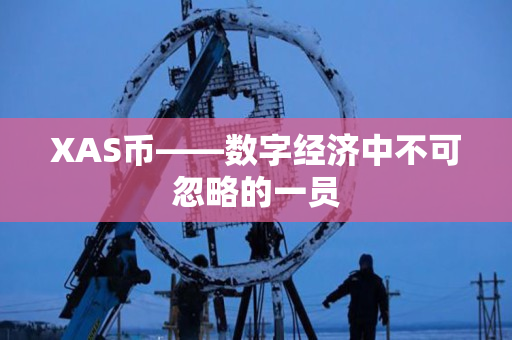 XAS币——数字经济中不可忽略的一员 XAS币——数字经济中不可忽略的一员