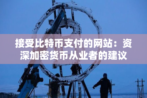 接受比特币支付的网站：资深加密货币从业者的建议