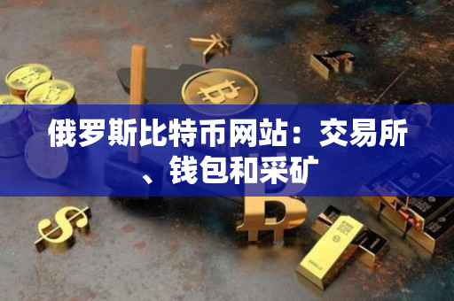 俄罗斯比特币网站：交易所、钱包和采矿
