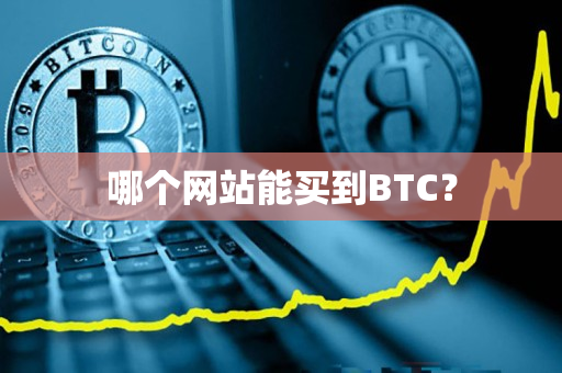 哪个网站能买到BTC？