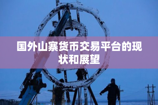 国外山寨货币交易平台的现状和展望