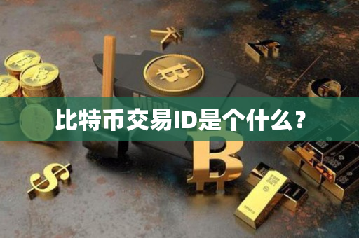 比特币交易ID是个什么? 比特币交易ID是个什么?