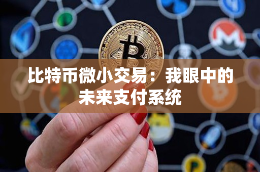 比特币微小交易：我眼中的未来支付系统