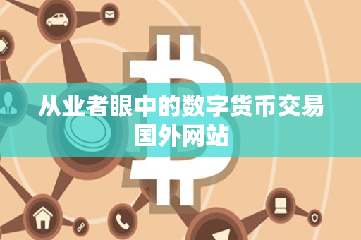 从业者眼中的数字货币交易国外网站
