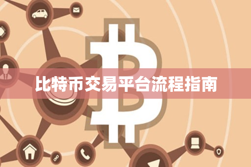 比特币交易平台流程指南