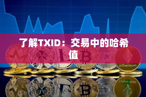 了解TXID：交易中的哈希值