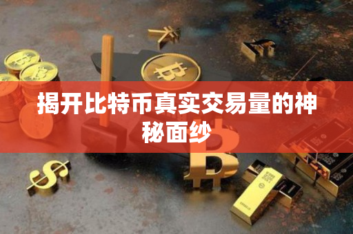 揭开比特币真实交易量的神秘面纱