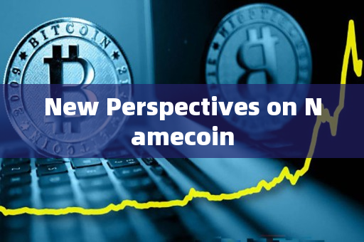 New Perspectives on Namecoin