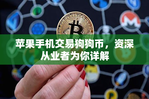 苹果手机交易狗狗币，资深从业者为你详解