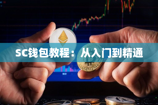 SC钱包教程:从入门到精通 SC钱包教程:从入门到精通