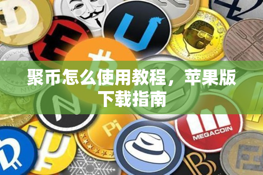 聚币怎么使用教程，苹果版下载指南