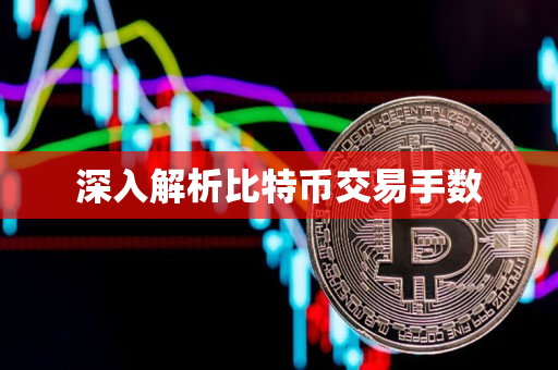 深入解析比特币交易手数