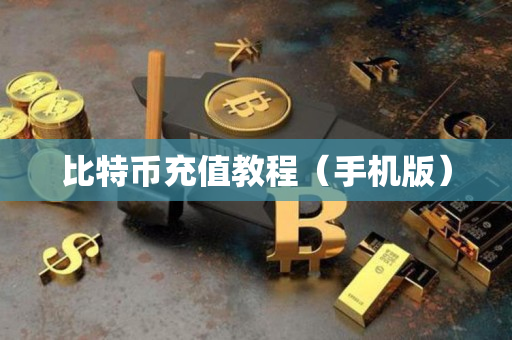 比特币充值教程(手机版) 比特币充值教程(手机版)