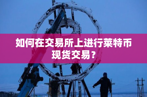 如何在交易所上进行莱特币现货交易? 如何在交易所上进行莱特币现货交易?