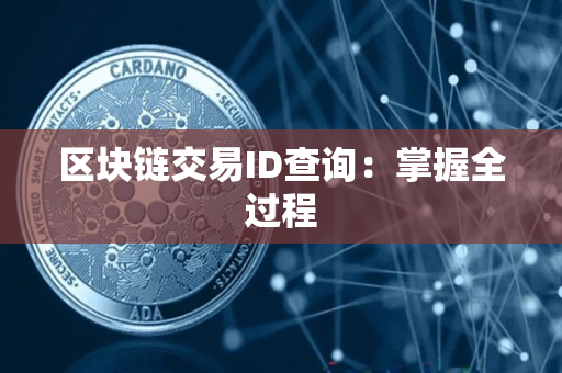 区块链交易ID查询:掌握全过程 区块链交易ID查询:掌握全过程
