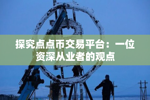 探究点点币交易平台：一位资深从业者的观点