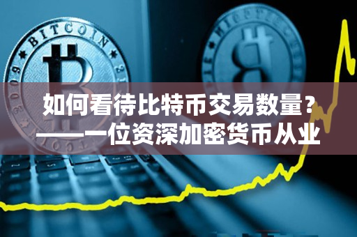 如何看待比特币交易数量?——一位资深加密货币从业者的视角 如何看待比特币交易数量?——一位资深加密货币从业者的视角