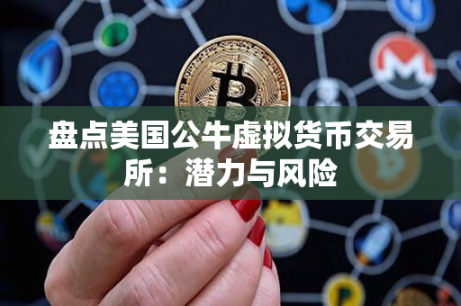 盘点美国公牛虚拟货币交易所：潜力与风险