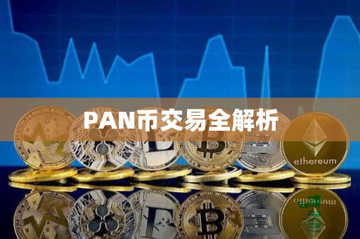 PAN币交易全解析