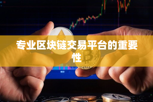 专业区块链交易平台的重要性 专业区块链交易平台的重要性