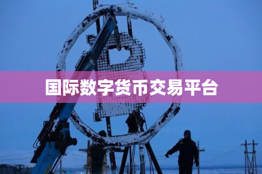 国际数字货币交易平台 国际数字货币交易平台