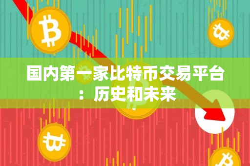 国内第一家比特币交易平台：历史和未来