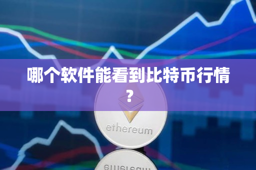 哪个软件能看到比特币行情? 哪个软件能看到比特币行情?