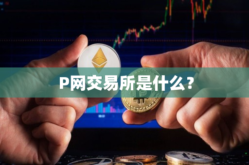  P网交易所是什么？