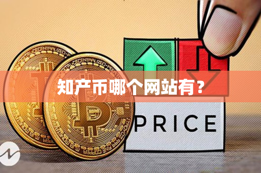 知产币哪个网站有？