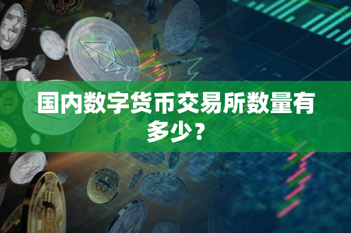 国内数字货币交易所数量有多少？