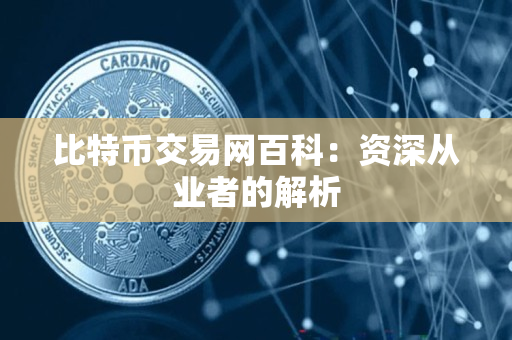比特币交易网百科：资深从业者的解析