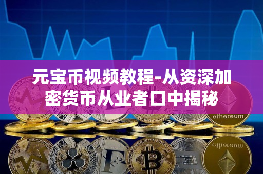 元宝币视频教程-从资深加密货币从业者口中揭秘 元宝币视频教程-从资深加密货币从业者口中揭秘