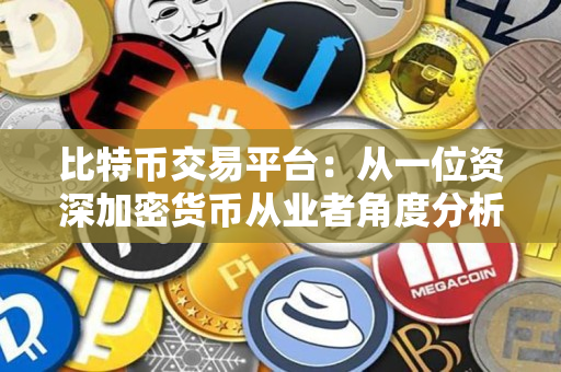 比特币交易平台:从一位资深加密货币从业者角度分析 比特币交易平台:从一位资深加密货币从业者角度分析