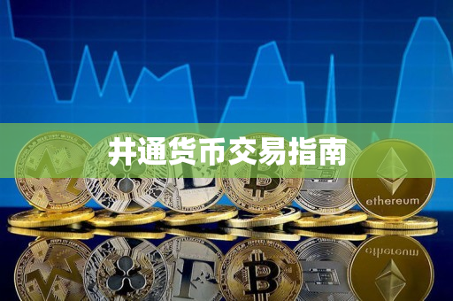井通货币交易指南 井通货币交易指南
