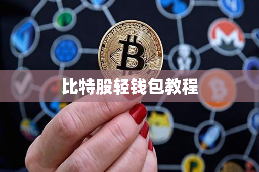 比特股轻钱包教程 比特股轻钱包教程