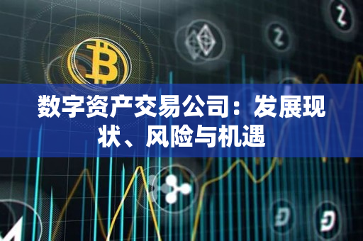 数字资产交易公司:发展现状、风险与机遇 数字资产交易公司:发展现状、风险与机遇