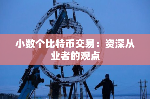 小数个比特币交易:资深从业者的观点 小数个比特币交易:资深从业者的观点